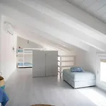 Mermaid's House * イーゾラ・ロッサ