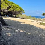 Mermaid's House