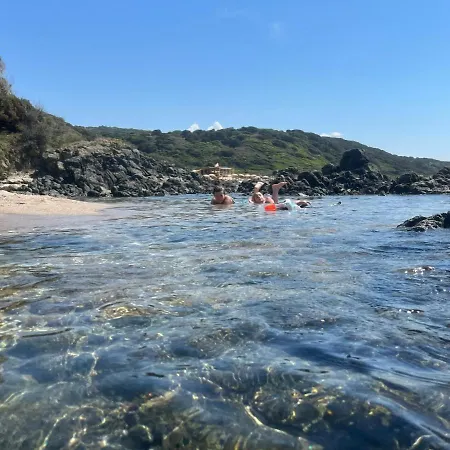 Mermaid's House